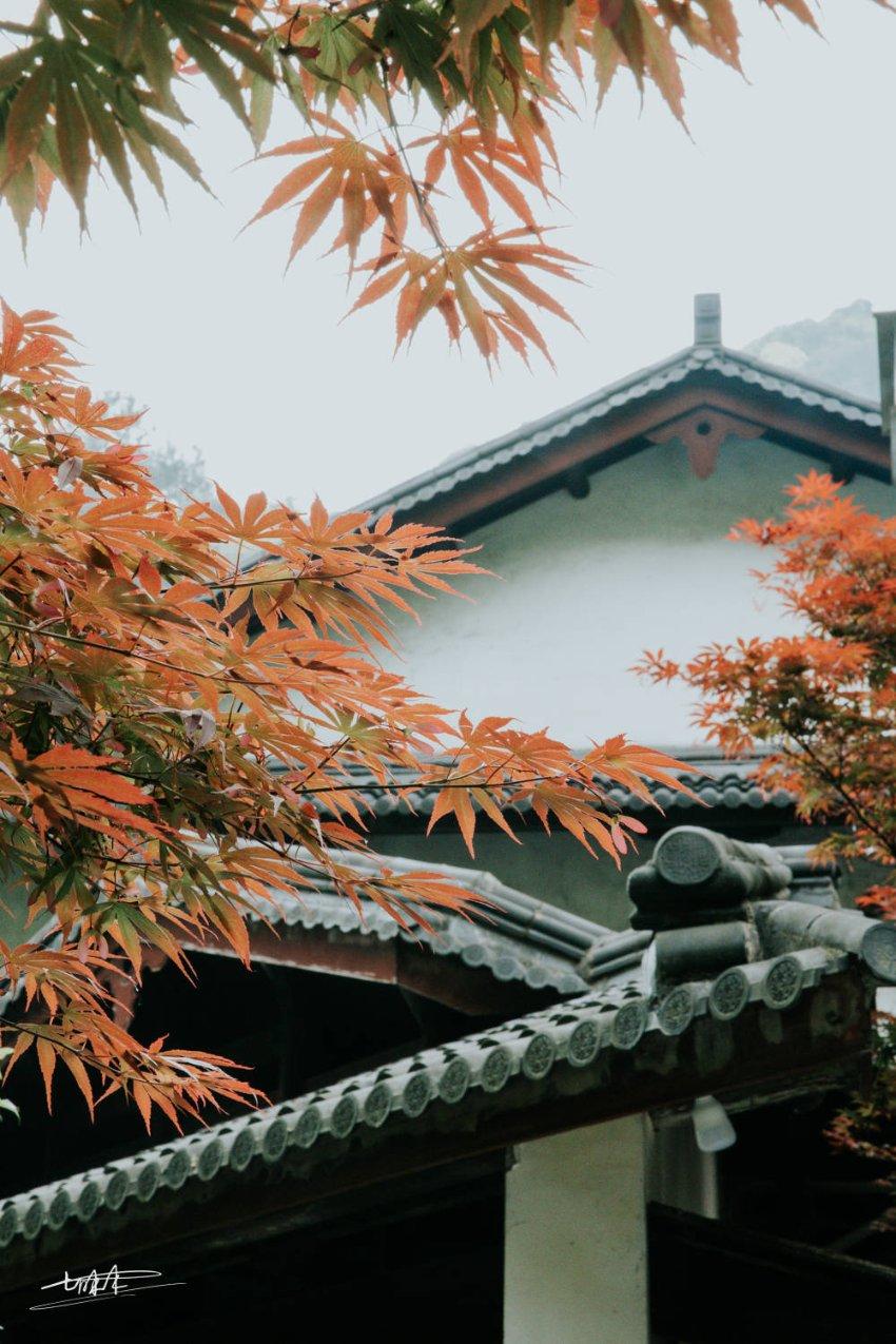 阿荣旗:阅读迎龙年 文化润心田